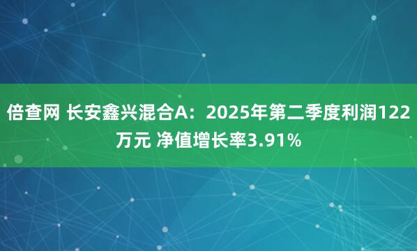 倍查网 长安鑫兴混合A：2025年第二季度利润122万元 净值增长率3.91%