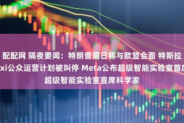 配配网 隔夜要闻：特朗普周日将与欧盟会面 特斯拉Robotaxi公众运营计划被叫停 Meta公布超级智能实验室首席科学家